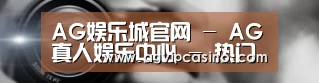 公司动态