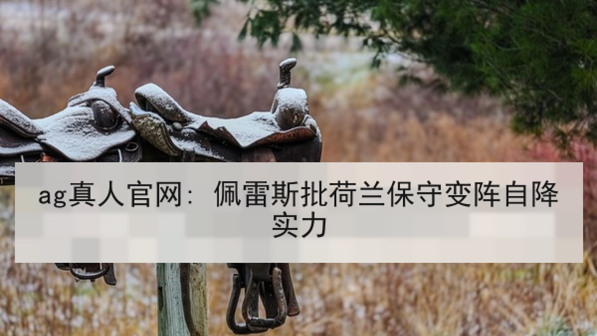 ag真人官网: 佩雷斯批荷兰保守变阵自降实力
