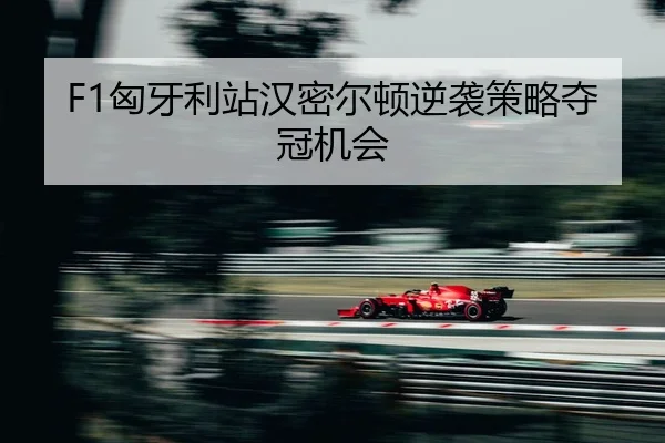 xiong-ya-li-zhan-han-mi-er-dun-ni-xi-ce-lve-duo-guan-ji-hui-2-343.jpg