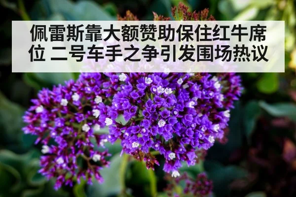 佩雷斯靠大额赞助保住红牛席位 二号车手之争引发围场热议