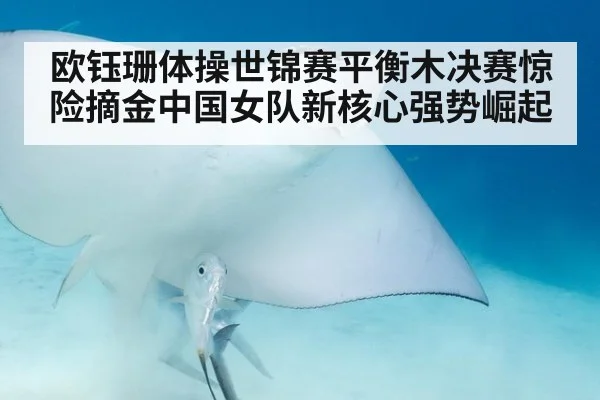 欧钰珊体操世锦赛平衡木决赛惊险摘金中国女队新核心强势崛起