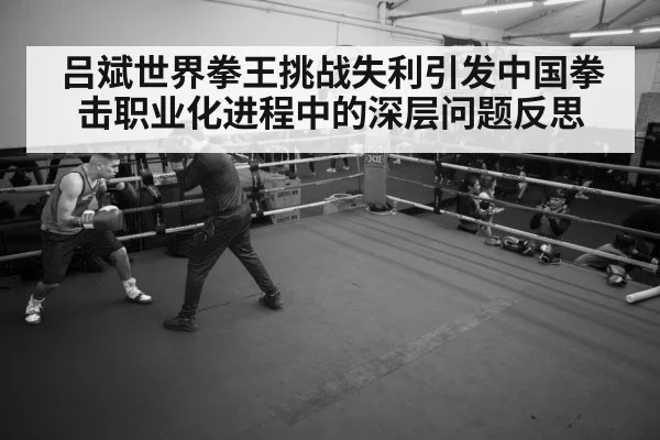 吕斌世界拳王挑战失利引发中国拳击职业化进程中的深层问题反思