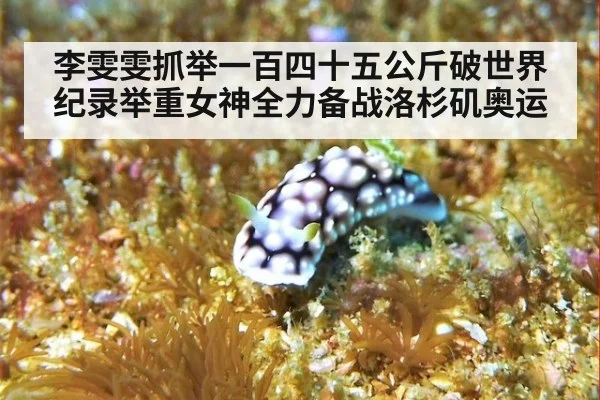 李雯雯抓举一百四十五公斤破世界纪录举重女神全力备战洛杉矶奥运